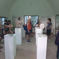 Mostra personale “Wood of Sea”